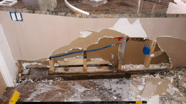 Best Fire Damage Restoration  in Tenino, WA