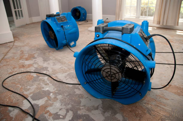 Best Local water damage restoration  in Tenino, WA