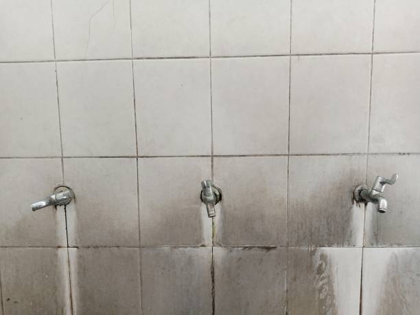Best Water damage restoration insurance claims  in Tenino, WA