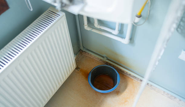 Best Basement water damage restoration  in Tenino, WA
