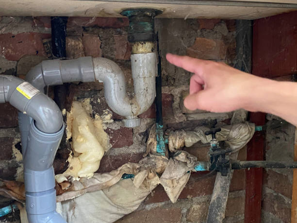 Best Commercial water damage restoration  in Tenino, WA